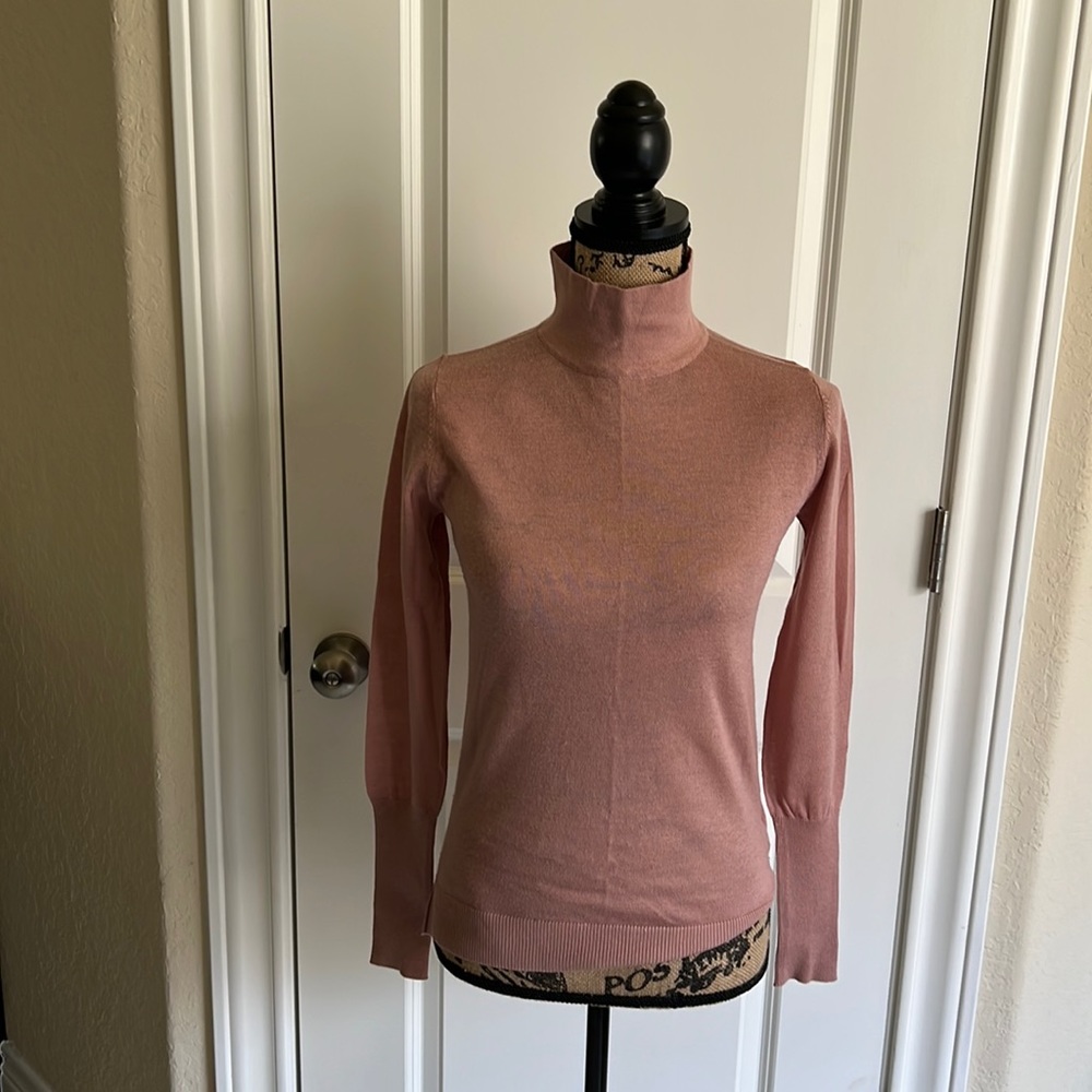 Zara Turtleneck Sweater